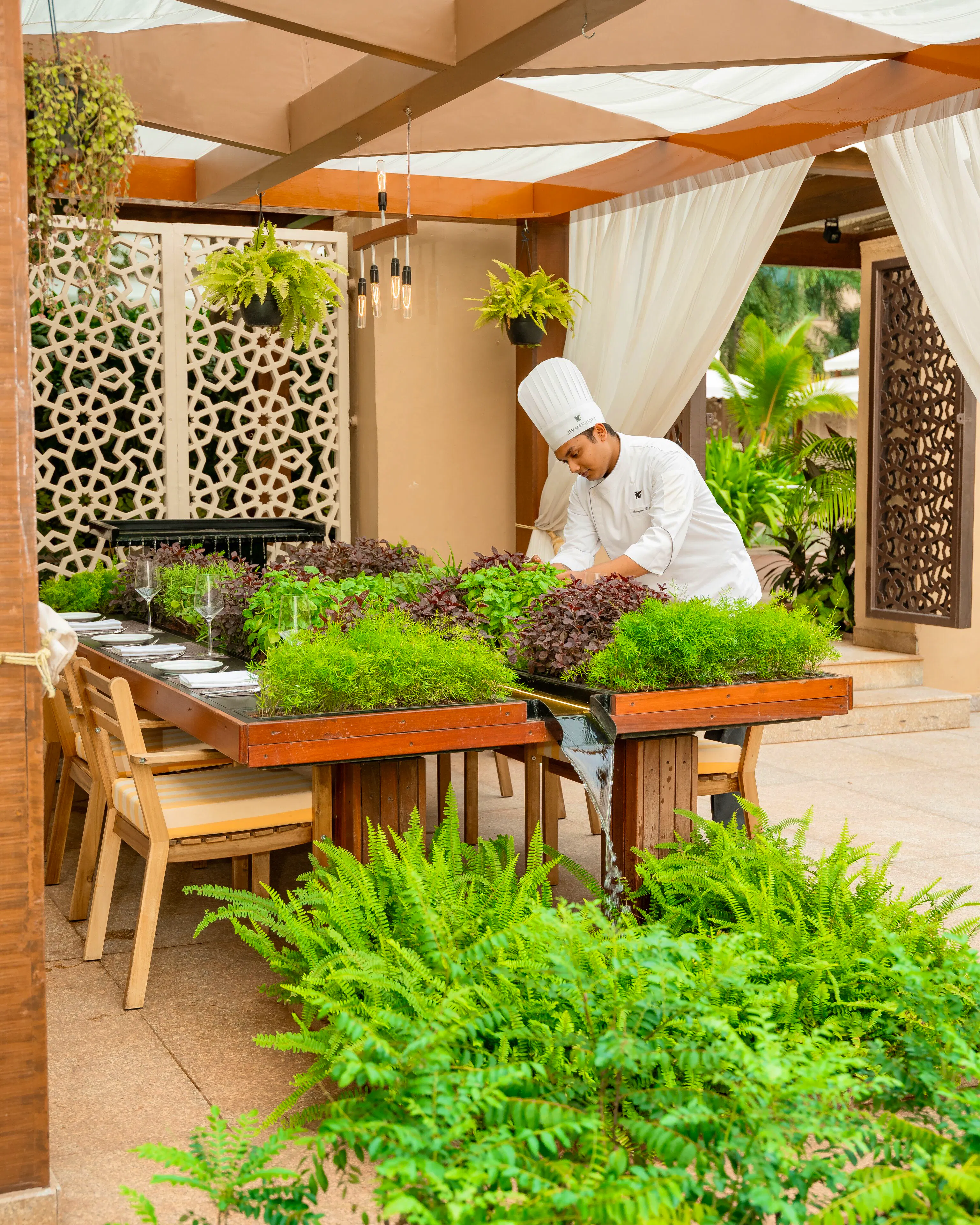 Garden at JW Marriott Mumbai Sahar