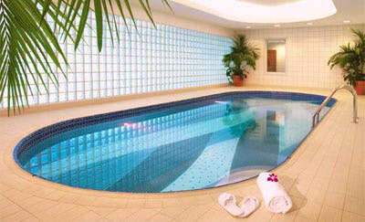 Pool at Dubai International Airport Hotel