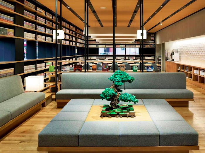 Hotel Lounge and Manga Library