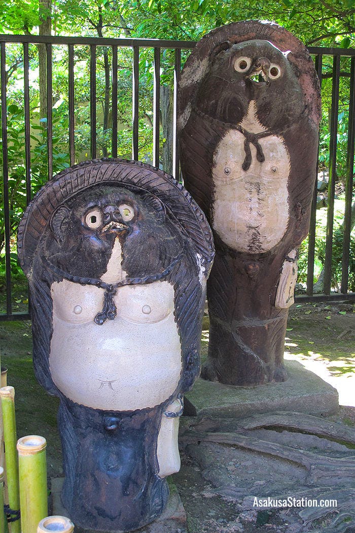 Statues of tanuki beside the shrine building