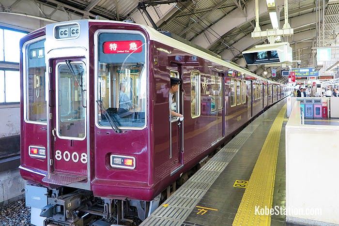 A limited express service bound for Shinkaichi at Platform 1