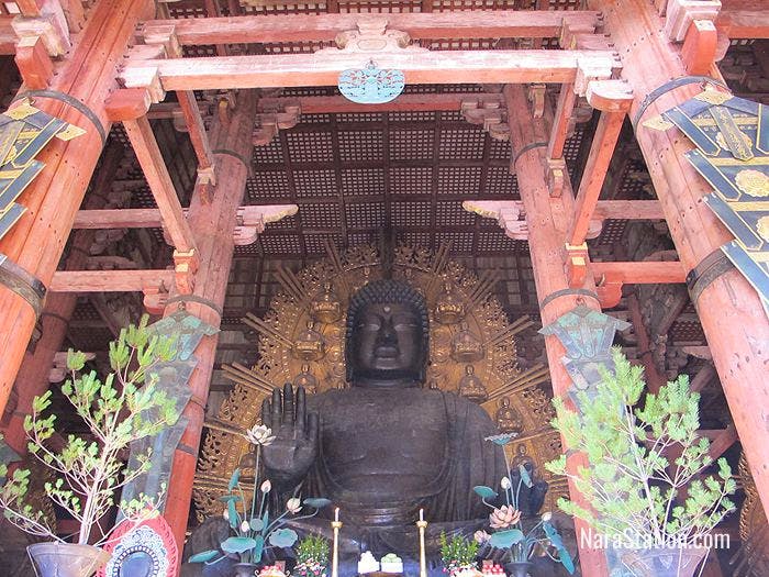 The Daibutsu statue sits in an attitude of enlightened meditation