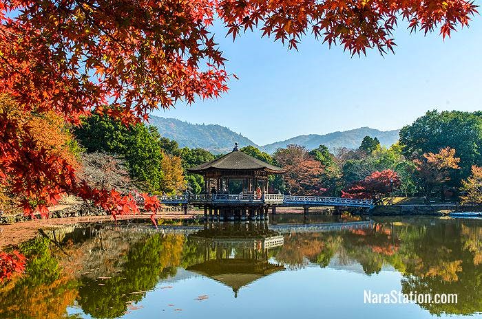 The Sagiike Pond in Nara Park