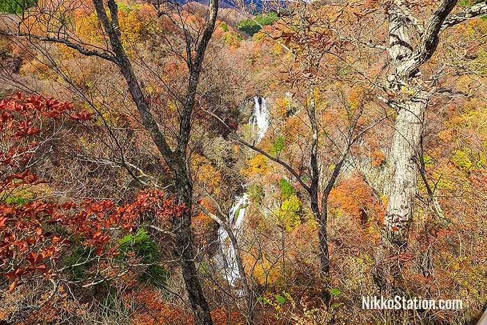 Kirifuri Falls seen through the trees