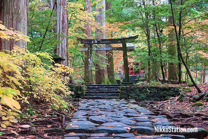 A shrine in the woods: Takinoo Jinja