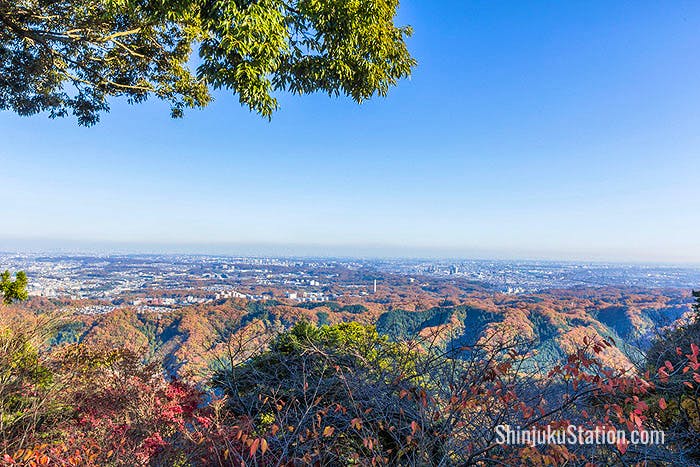 View from Mt. Takao in Autumn