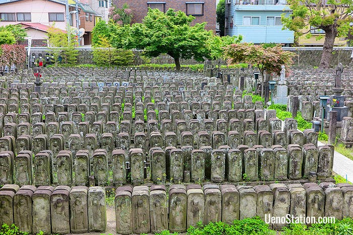 The Jizo images at Jomyoin are set up in parallel rows