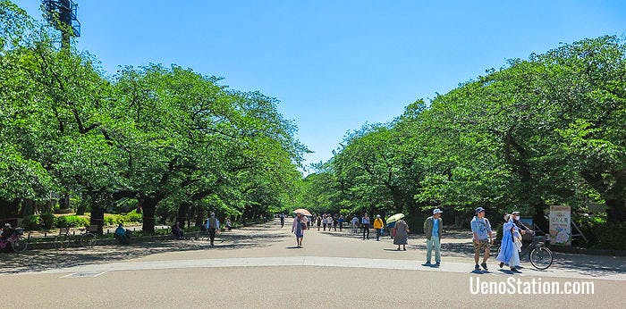 Inside Ueno Park