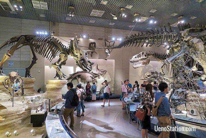 The dinosaur display in the Evolution of Life section