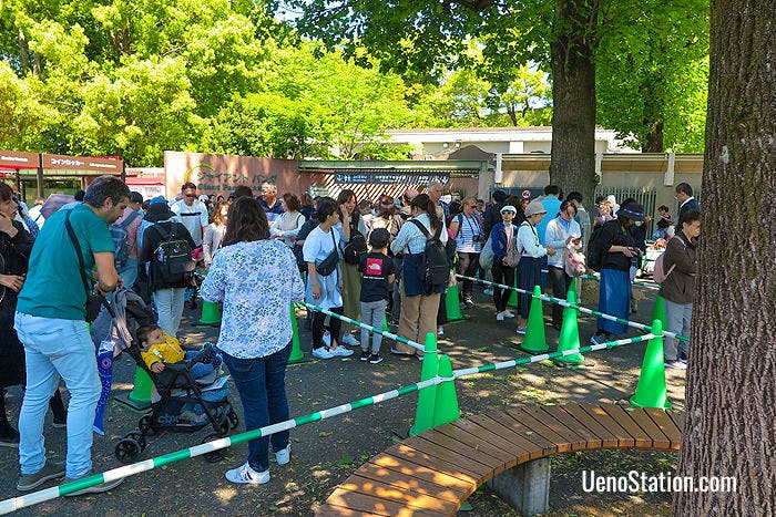 A line of people waiting to view the pandas