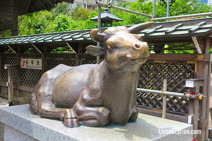 The nade-ushi or patting cow